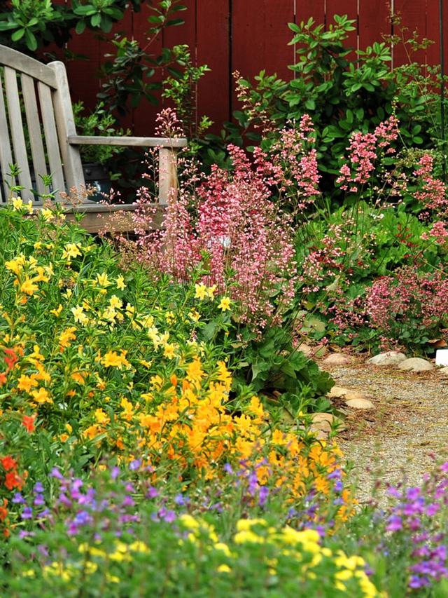 Best Perennial Plants for Supporting Native Pollinators: A Comprehensive Guide