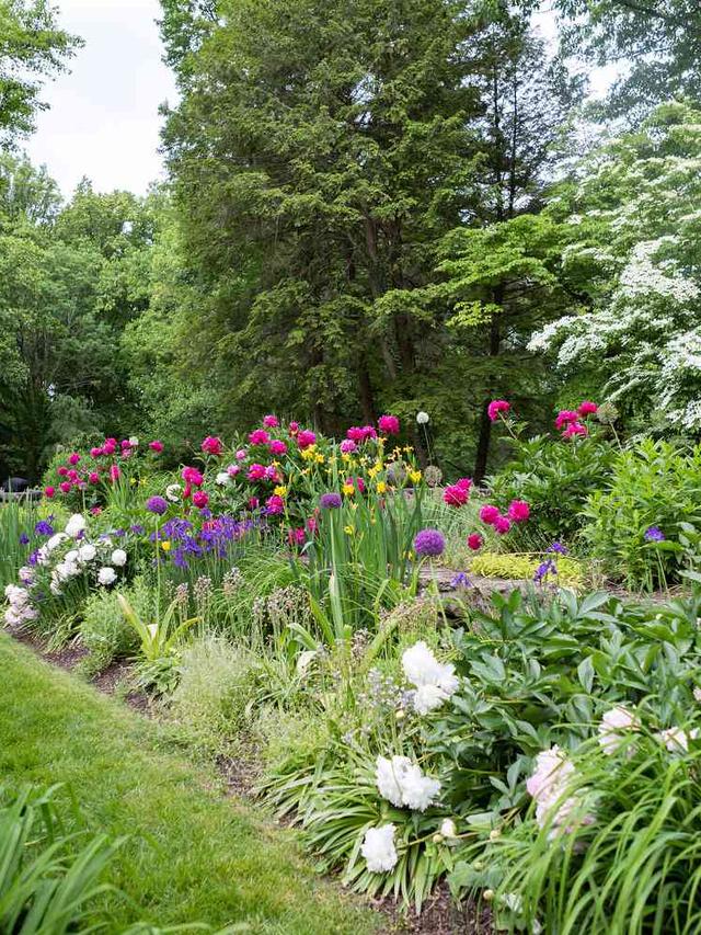 Combining Tall and Short Perennial Flowers for Layered Rainbow Garden Effects