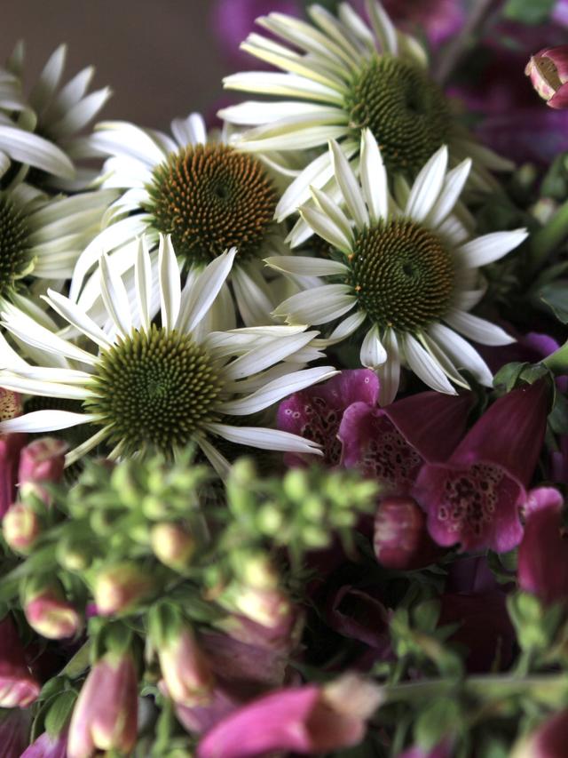 Create a Dreamy Event Setting with These Perennial Flowers