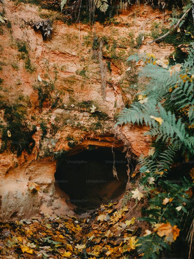 Exploring Caves and Caverns for Hidden Fortune Coins