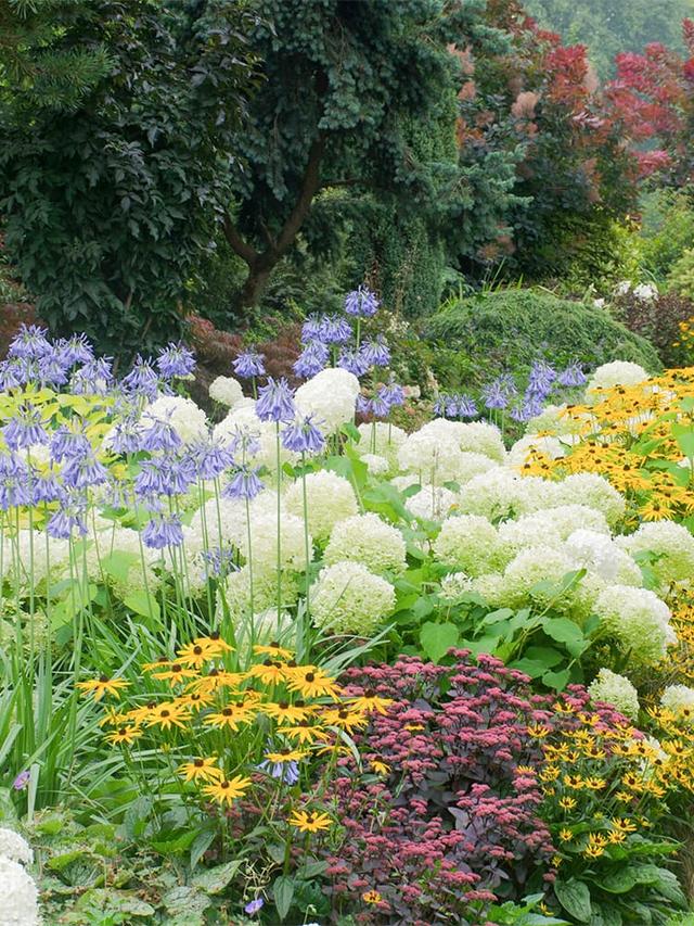 How to Choose Perennial Flowers for Gravelly Garden Beds