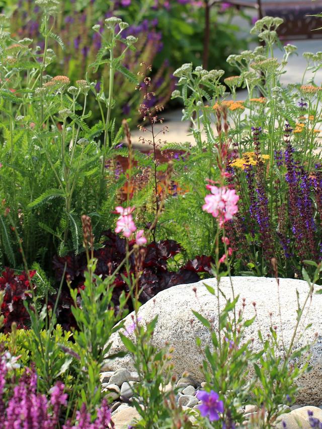 How to Combine Perennials for a Low-Maintenance Rocky Garden