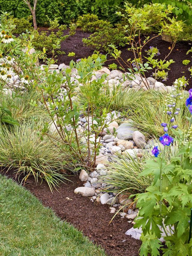 How to Improve Soil Drainage for Perennial Flower Beds in Rocky Areas