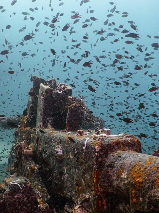 Locating Fortune Coins in Sunken Ships and Underwater Wrecks