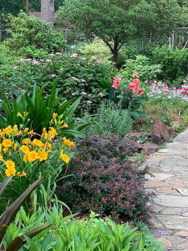 Perennial Flowers for Evergreen Gardens