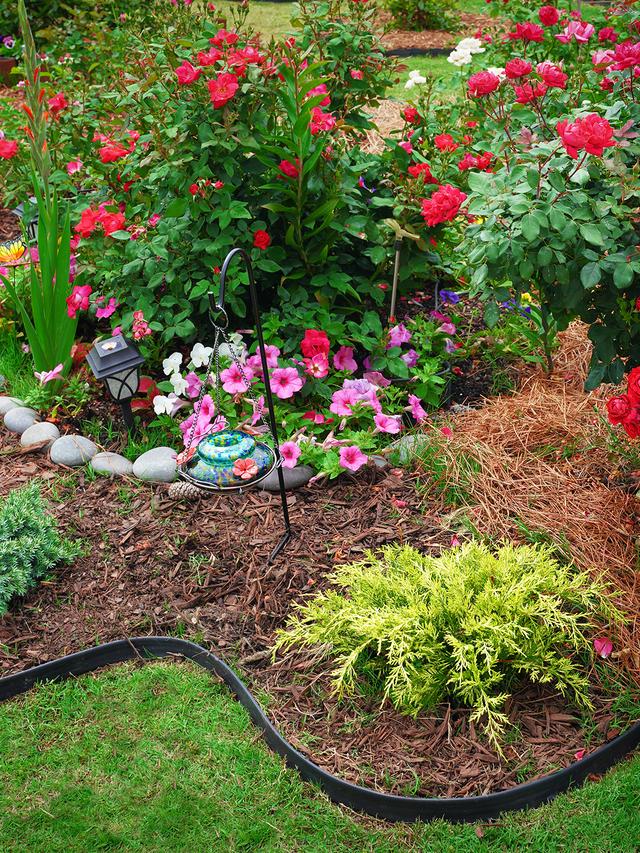 Tips for Combining Red Perennials for a Cohesive Garden Design