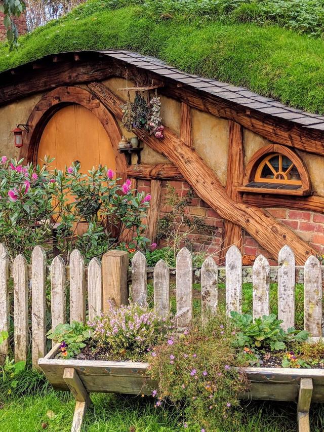 You Won’t Believe How These Perennials Turn Any Garden into a Cottage Wonderland